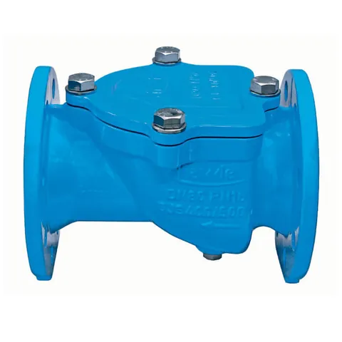 Non-Return Valve (NRV)