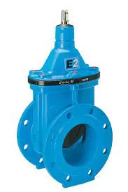 Sluice Valve